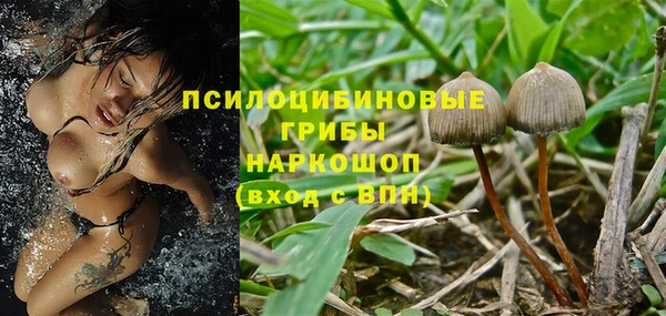 дурь Белокуриха