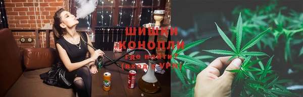 крисы Белоозёрский
