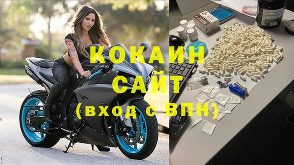 ГАЛЛЮЦИНОГЕННЫЕ ГРИБЫ Строитель