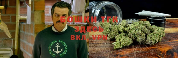 крисы Белоозёрский