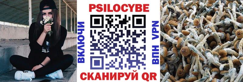 Галлюциногенные грибы Magic Shrooms Горнозаводск